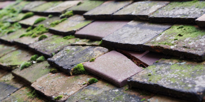 Bletsoe roof repair costs